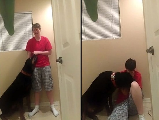 Kendine Zarar Veren Çocuğa Engel Olan Köpek Herkesi Duygulandırdı