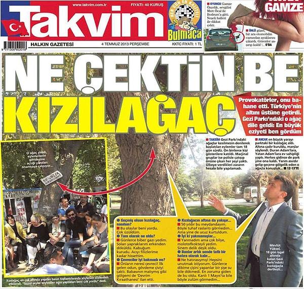 1. Gezi Parkında yer alan bir ağaçla yapılan röportaj...