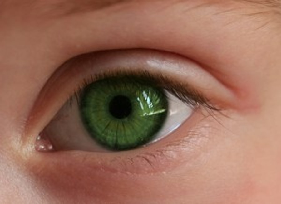 Ela, Kehribar, Bal ve Daha Fazlası! Göz Rengini Tam Olarak Söylemek ...