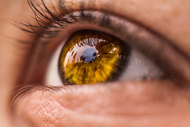 Ela, Kehribar, Bal ve Daha Fazlası! Göz Rengini Tam Olarak Söylemek ...