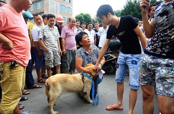 Köpek eti yeme festivali Çinlileri ikiye bölmüş durumda. Kimilerine göre köpek yeme festivali dünyanın en vahşi festivali, kimilerine göre ise yüzyılladır yapılagelen bir geleneğin parçası.