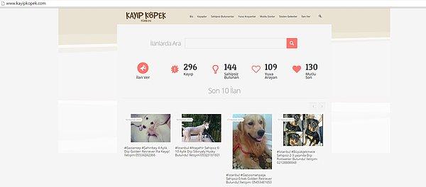 1. Kayıp Köpek Türkiye web sitesi'ne girmek