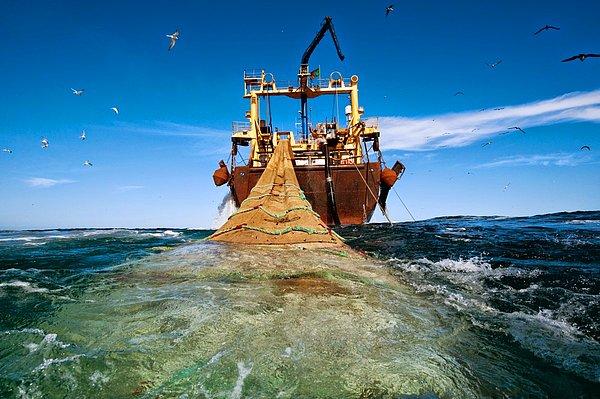 17. Moritanya'da devasa ağıyla balık avlayan bir gemi. Bu orantısız avlanma, pek çok ekolojik dengesizliğe sebep olmakta.