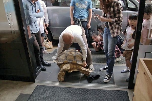 8. Bon-chon ile sokakta birlikte dolaşma fikri, ilk olarak bundan birkaç yıl önce aklına gelir.