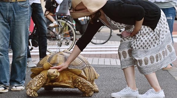 14. İkili bugün halen birlikte yürümeyi sürdürüyorlar. Üstelik her gün en az 2 saat.