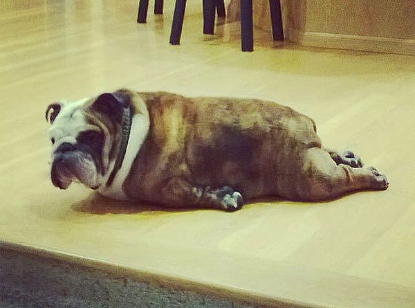 4. Yaz geldi bu göbeği eritmek lazım