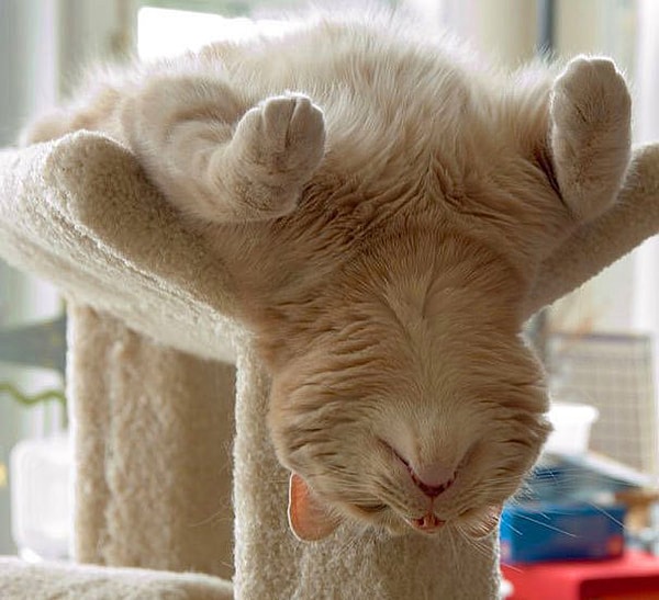 6. Yoga yok uyku var