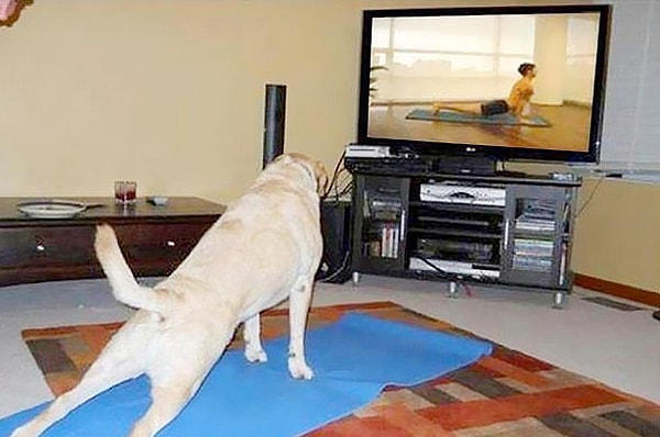 10. Yapamıyağımı mı sandın?