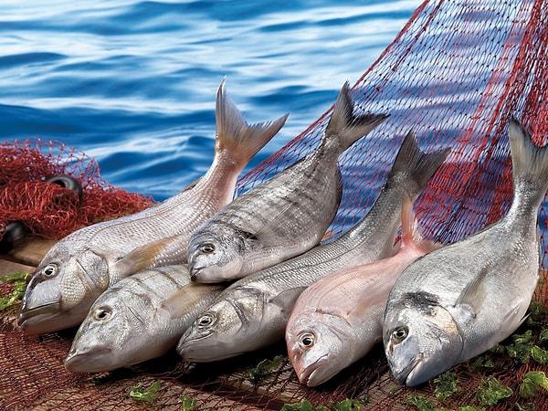 7. Tazecik deniz balıklarının tadına bakmadan dönmeyin.