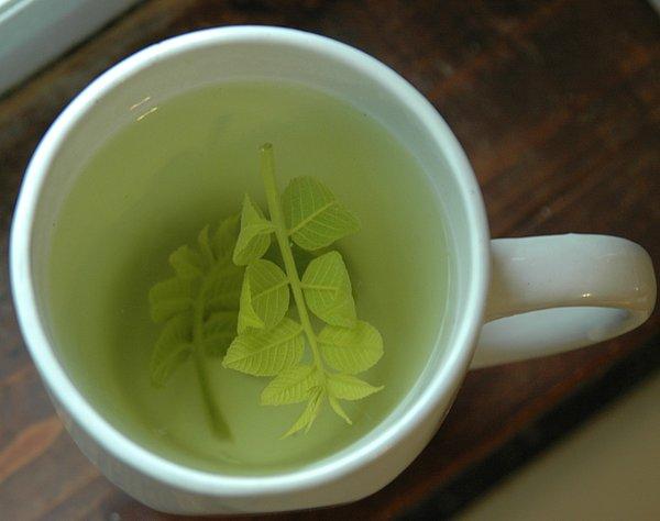 6. Gizli kalmış bir lezzet Ceviz Yaprağı Çayı