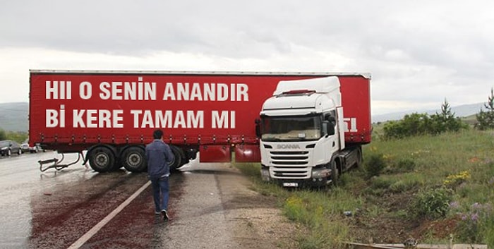 Kocaman Cüsselerine Aldırmadan İnsan Gibi Davranan 16 Büyükbaş Araç