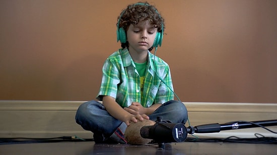 7 Yaşında Müzik Dahisi Çocuğun Bir Çok Enstrüman Kullanarak Çektiği İnanılmaz Klip