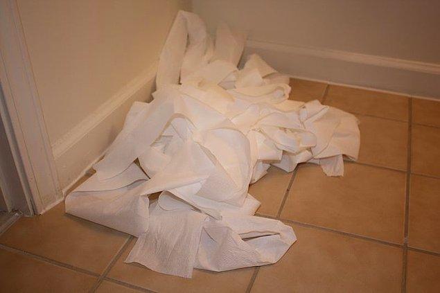 12. Altında yatanları düşünmenize sebep olan tuvalet kağıdı yığınları