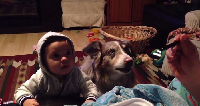 Mama Diyemeyen Bebek ve Diyebilen Köpek