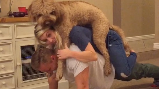 Mutlu Bir Çift ve Köpeklerinden Hayran Olunası Fitness Görüntüleri