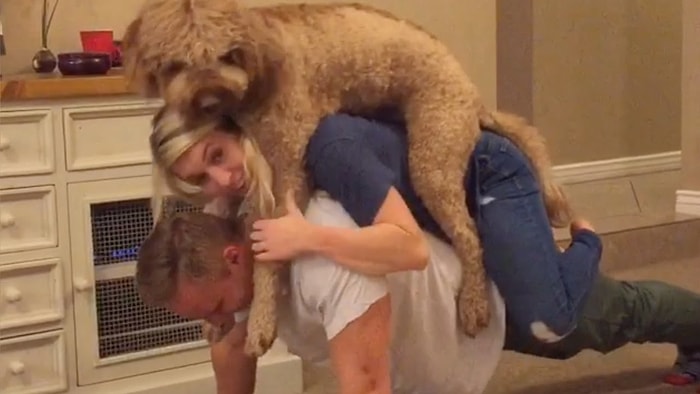 Mutlu Bir Çift ve Köpeklerinden Hayran Olunası Fitness Görüntüleri