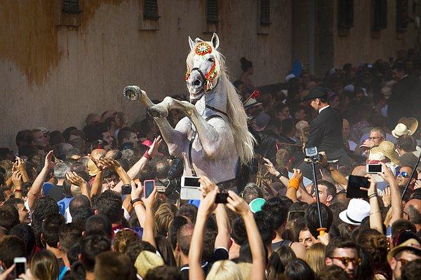 5. Her yıl 23-24 Haziran'da kutlanan San Juan Festivali sırasında kalabalığın ortasında şaha kalkan at.