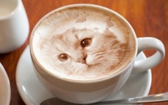 Sabah Kahvenizde Kendi Resminizi Bile Görmeniz Artık Pek Mümkün: Latte Printer'ı Ripple