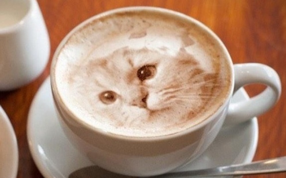 Sabah Kahvenizde Kendi Resminizi Bile Görmeniz Artık Pek Mümkün: Latte Printer'ı Ripple