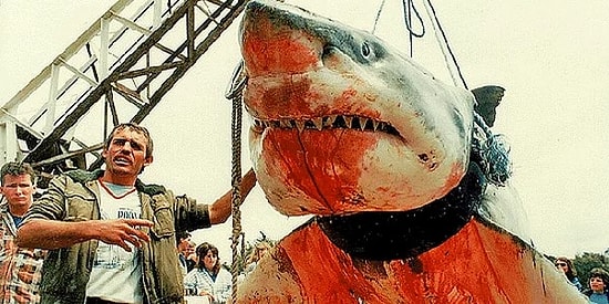 Hoşgeldin Yaz! Ülkemizden ve Dünyadan Dehşet Verici Köpekbalığı Saldırıları