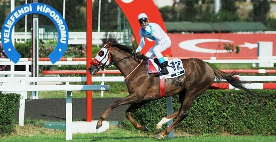 89. Gazi Koşusunu 'Renk' Kazandı