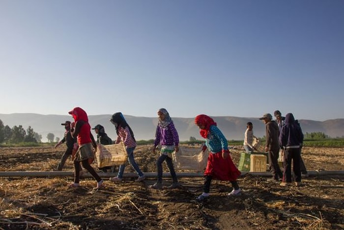 Türkiye'de 100 Binin Üzerinde İşçi Zorla Çalıştırılıyor