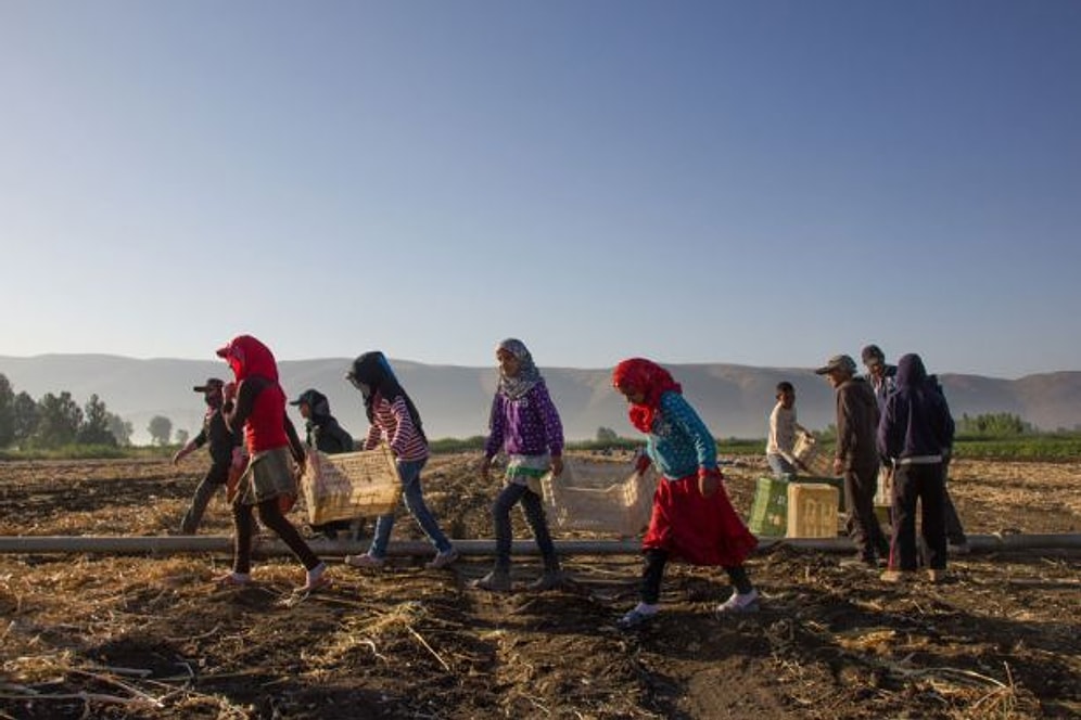 Türkiye'de 100 Binin Üzerinde İşçi Zorla Çalıştırılıyor