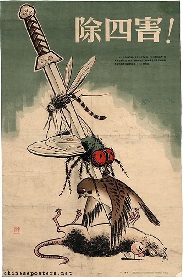 7. 1960 baharında tarlaları böcekler bastığında Çinli liderler öldürülen serçelerin böcekleri yiyerek aslında faydalı olduğunu fark etti.