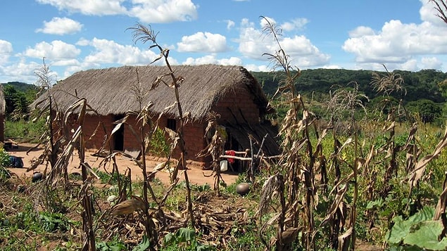 10. Tanzanya