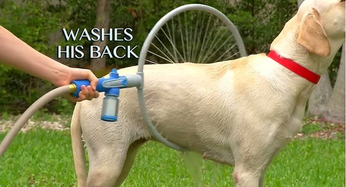 Aşırı Pratik Köpek Yıkama Makinesi | Woof Washer