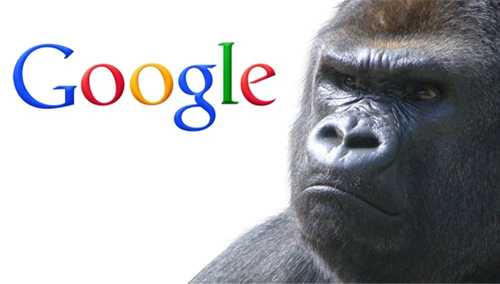 Google'dan Siyah Çifte 'Goril' Gafı Özrü
