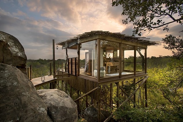 14. Kingston Treehouse, Aslan Adaları, Güney Afrika