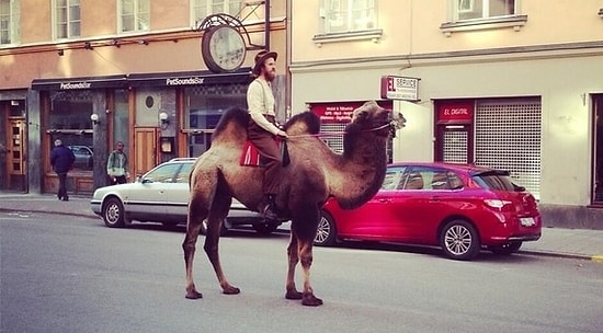 Hipsterların Artık İyice Cılkını Çıkardıklarının İspatı 23 Fotoğraf