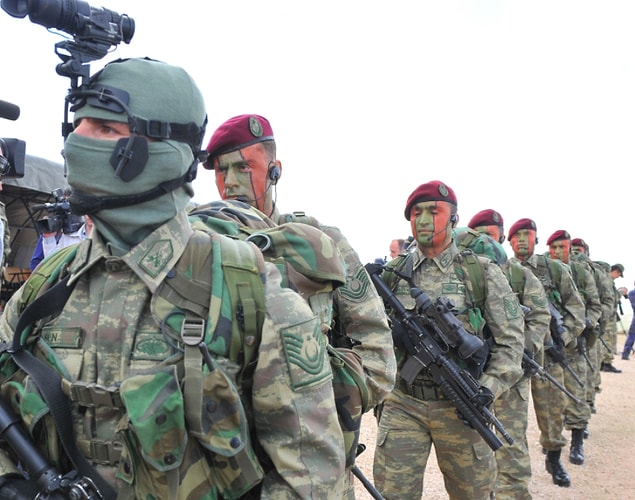 Bordo Bereliler