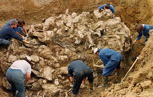 İnsanlık Tarihinin En Karanlık ve En Acı Sayfalarından Biri: 15 Husus ile Srebrenitsa Katliamı