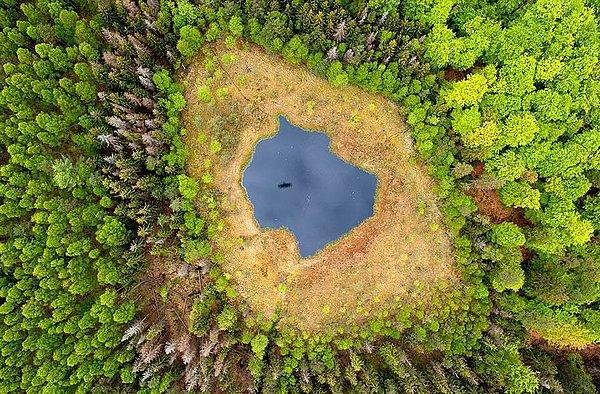 5. Orman Gölü, Polonya