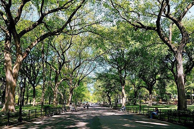 6. Central Park - New York, Amerika