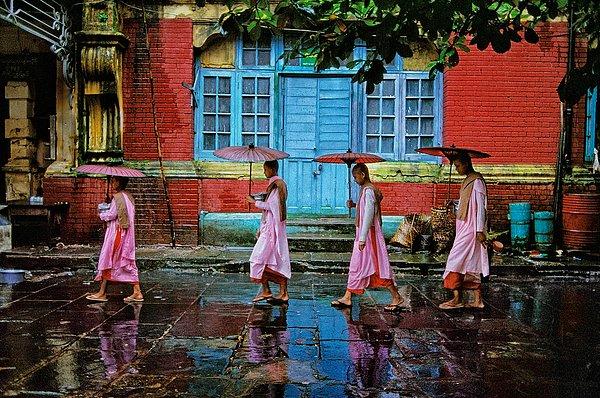 25. Myanmarlı rahibeler yağmurda yürürken.