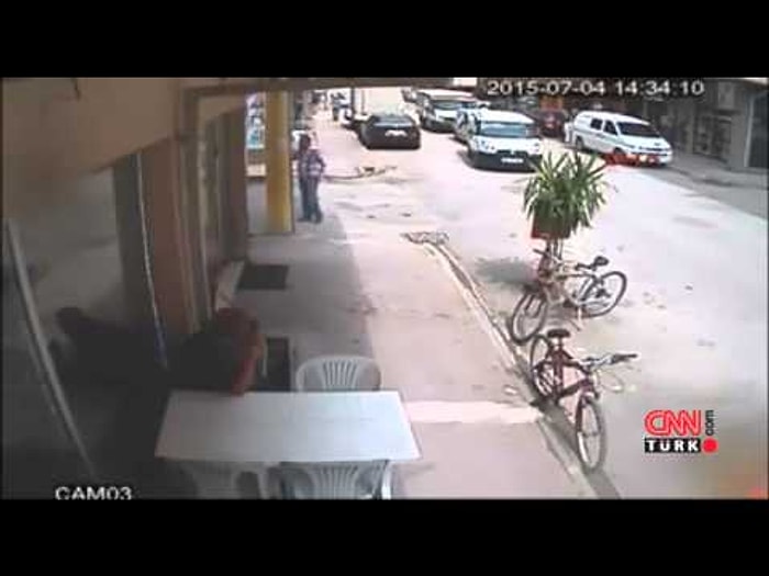 Eskişehir'de Köpeğe Saldıran Psikopat Kedi