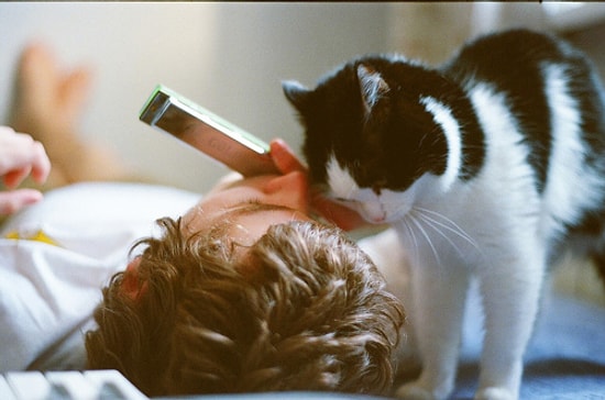 En Çekici Erkeklerin 'Kedi Besleyen Erkekler' Olduğunun 17 Kanıtı