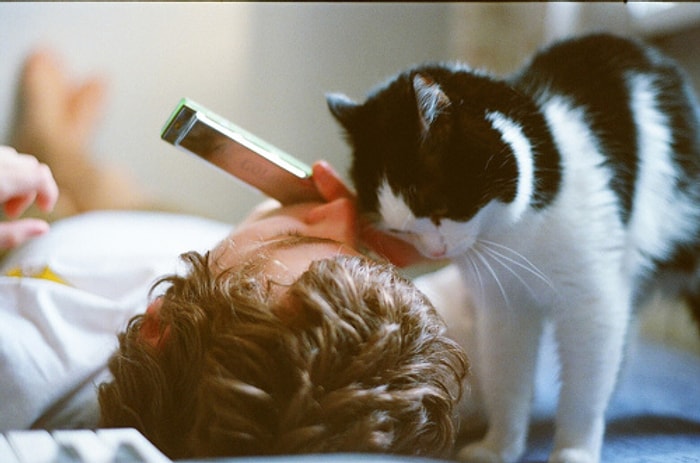 En Çekici Erkeklerin 'Kedi Besleyen Erkekler' Olduğunun 17 Kanıtı