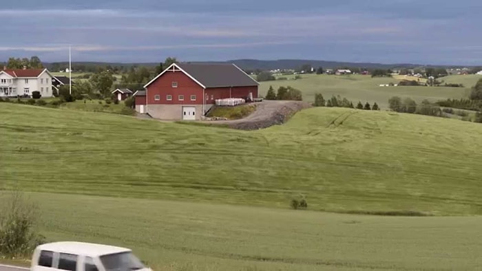 İzlerken İnsana Dinginlik Hissi Veren Çimlerin Rüzgarda Dansı