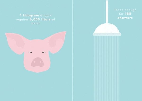 1 kg domuz eti üretimi ise 6000 L suya ihtiyaç ihtiyaç var. Bu da 188 kez duş almak için kâfi.