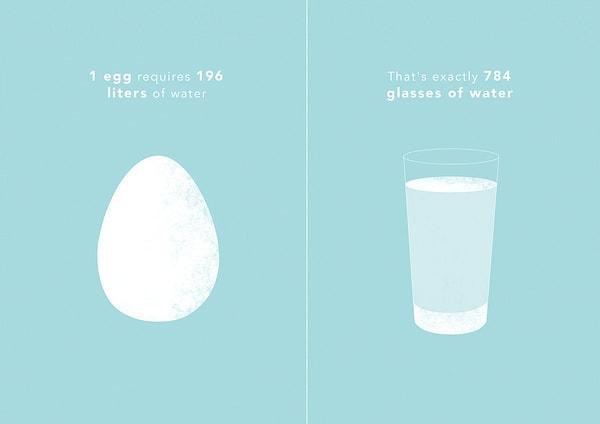 1 yumurtanın üretilebilmesi için 196 L su gerekiyor. Bu da tamı tamına 784 bardak su demek.