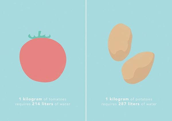 1 kg domates 214 L suya ihtiyaç duyuyor. 1 kg patates ise 287 L suya.