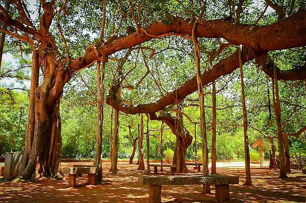 1. Auroville,Hindistan