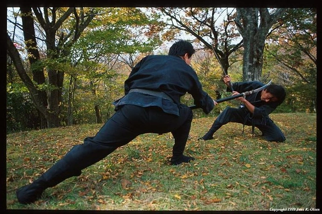 Ninjutsu