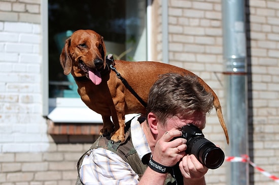 Hala Bilmeyenler İçin Fotoğrafçı Bir Erkekle Birlikte Olmanın 15 Harika Yanı