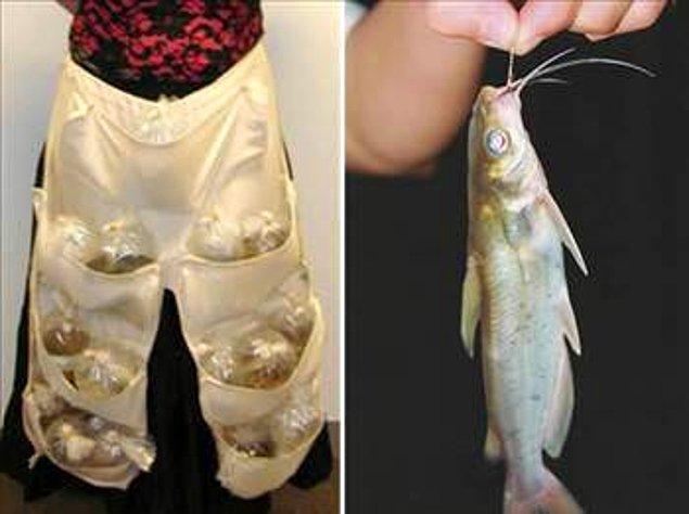 Singapur'da Melbourn'e uçakla giden bir kadının üzerinden, eteğinin altına özel diktirdiği ceplerde sakladığı 51 tropik balık bulunmuş.