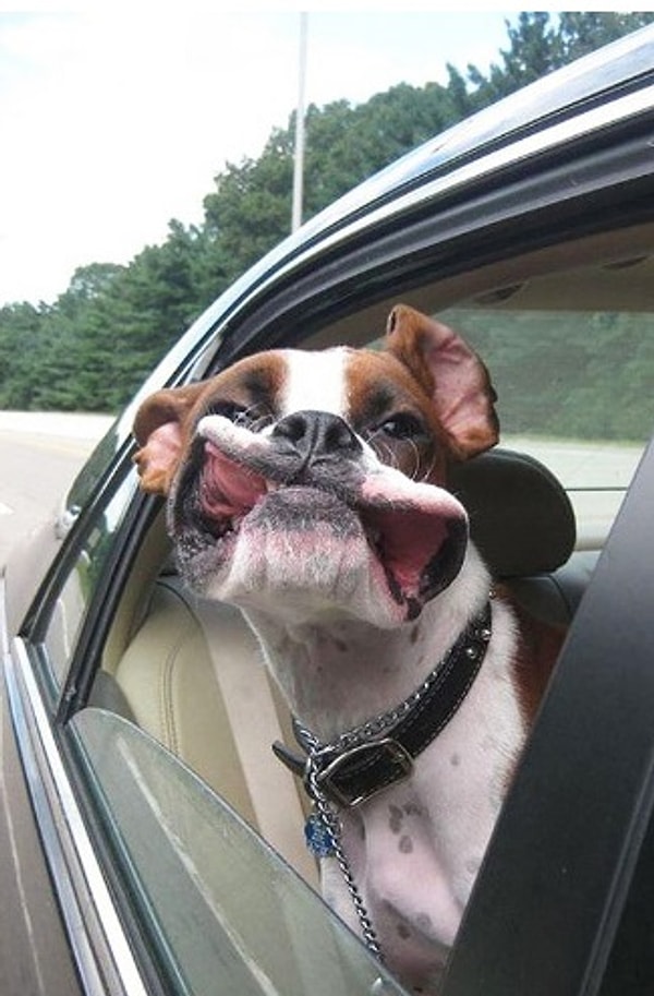 7. Fotoğrafa bakarken rüzgardan şapır şupur oynaşan yanak sesi kulakta çınlamaya başlıyor